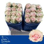 8fb962fd-16bb-4947-922b-3ad2b31c3f4d.jpg
