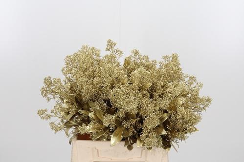 Skimmia per bos overig kleurbehandeld H%