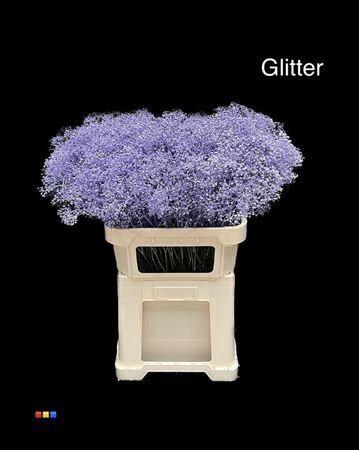 Gypsophila overig kleurbehandeld H%