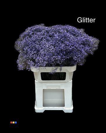 Gypsophila overig kleurbehandeld H%