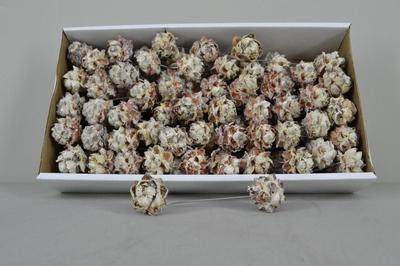 Huis en tuindecoratie overig H%