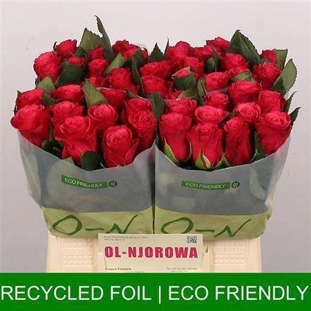 Rosa grootbloemig Tacazzi+