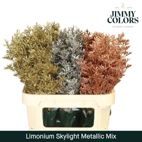 Limonium overig kleurbehandeld H%