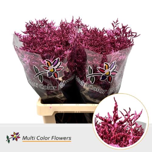Limonium overig kleurbehandeld H%