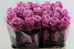 916b90bf-9474-45c7-b0a9-9f43f2cad360.jpg