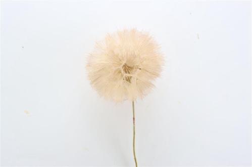 Decoratiegroen kleurbehandeld per bos H%