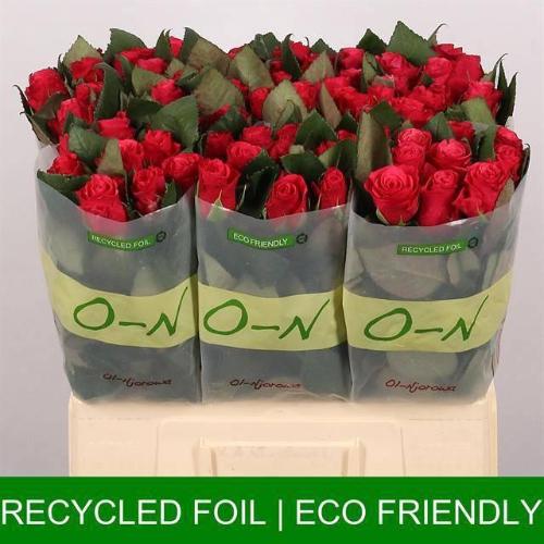 Rosa grootbloemig Tacazzi+