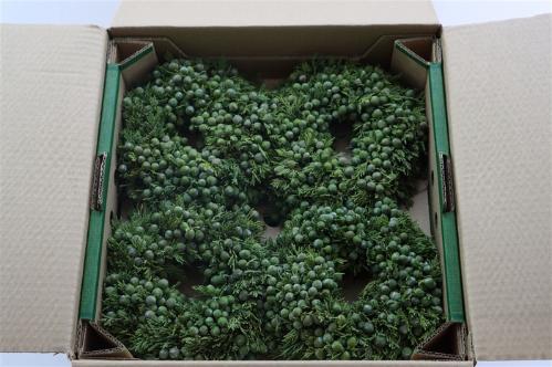Siervruchten per stuk Sierfruit krans H%