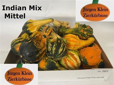 Siervruchten per stuk Cucurbita pepo Indian gemengd