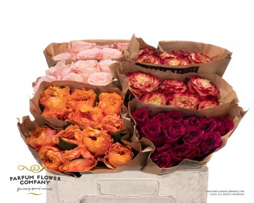 Rosa grootbloemig overig