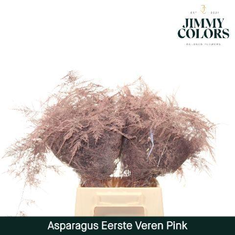 Asparagus overig kleurbehandeld H%