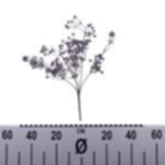 92a3c2f4-5c50-46c5-8975-ad05fd4a012a.webp
