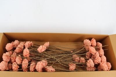 Huis en tuindecoratie overig H%