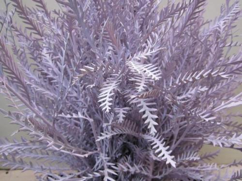 Decoratiegroen kleurbehandeld H%