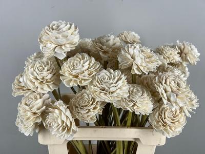 Huis en tuindecoratie overig H%