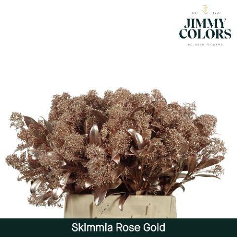 Skimmia per bos overig kleurbehandeld H%