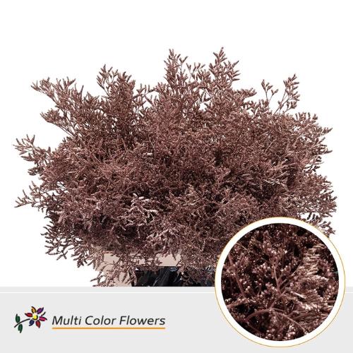 Limonium overig kleurbehandeld H%