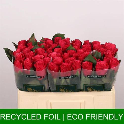 Rosa grootbloemig Tacazzi+