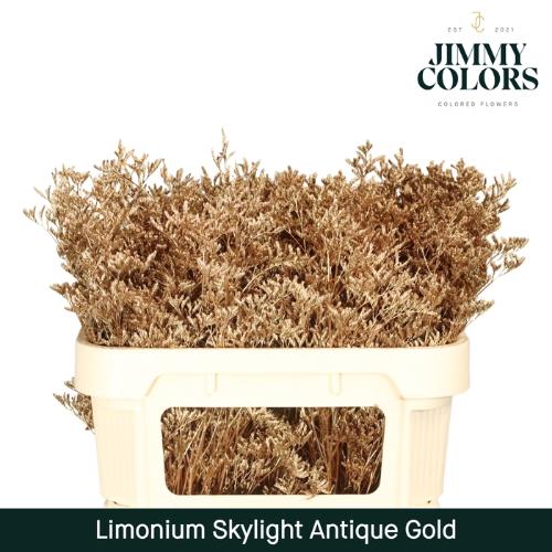 Limonium overig kleurbehandeld H%