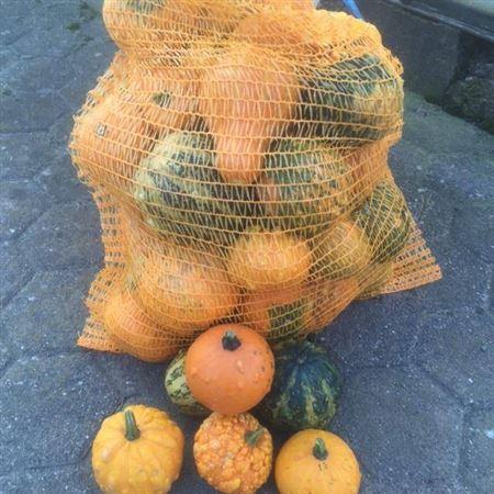 Siervruchten per stuk Cucurbita pepo gemengd