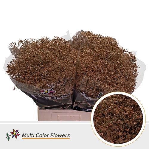 Gypsophila overig kleurbehandeld H%