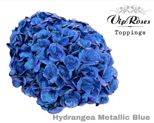 Hydrangea overig kleurbehandeld H%