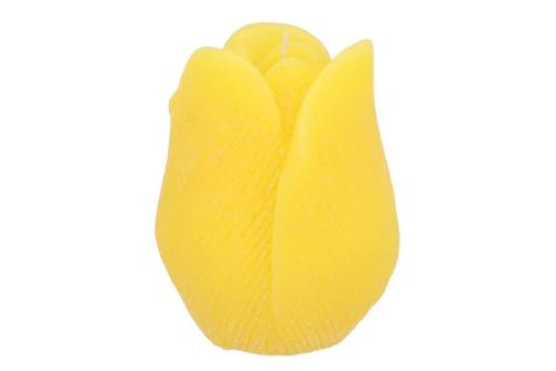 Huis en tuindecoratie overig H%