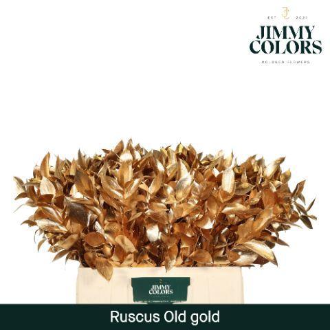 Ruscus kleurbehandeld H%