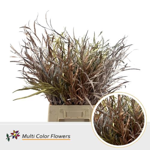 Decoratiegroen kleurbehandeld per bos H%