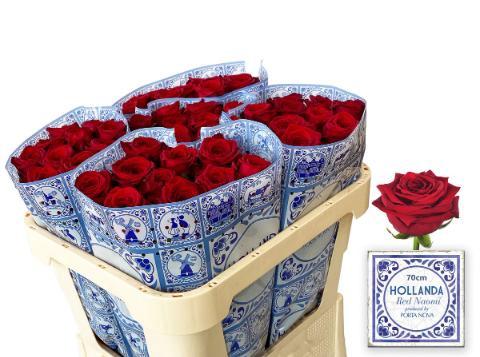 Rosa grootbloemig Red Naomi!