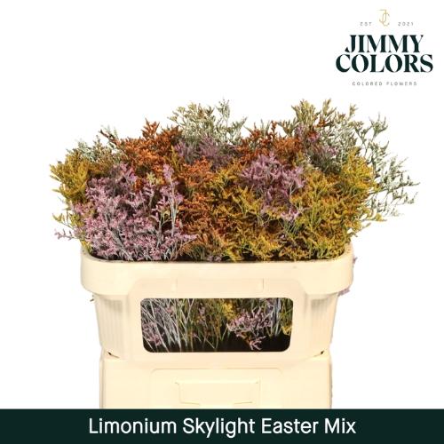 Limonium overig kleurbehandeld H%