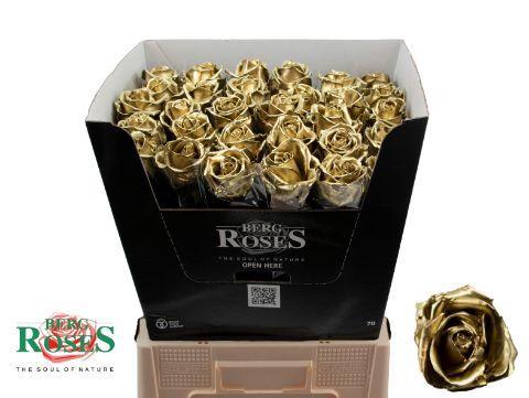 Rosa grootbloemig gewaxt H%