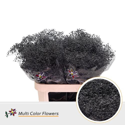 Gypsophila overig kleurbehandeld H%