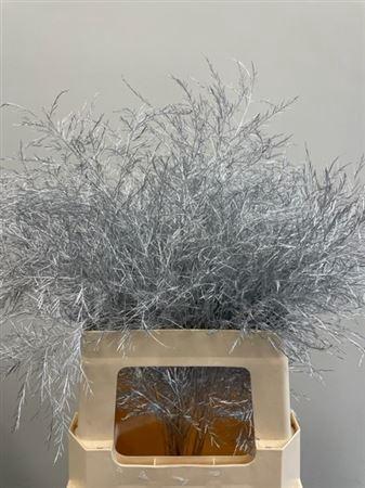 Decoratiegroen kleurbehandeld per bos H%