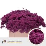 95cfcb33-0ad8-45c4-b8a0-7c20ab9227a9.jpg