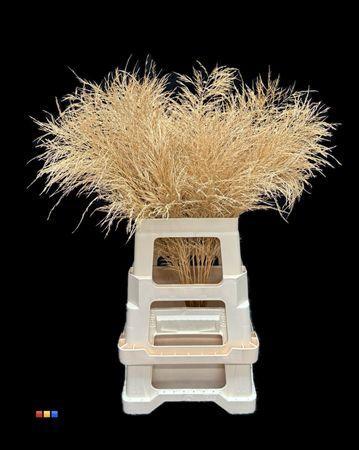 Decoratiegroen kleurbehandeld per bos H%