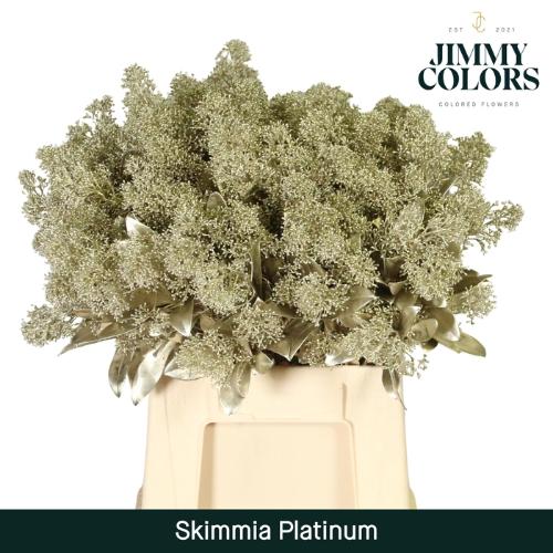 Skimmia per bos overig kleurbehandeld H%