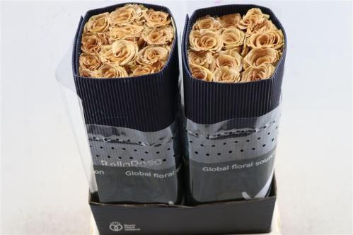 Rosa grootbloemig overig