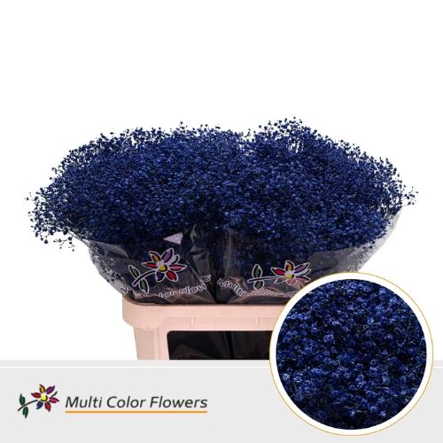 Gypsophila overig kleurbehandeld H%