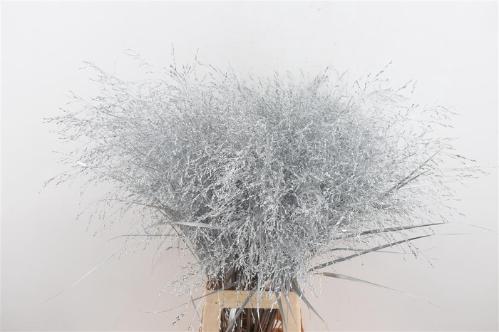 Snijbloemen overig kleurbehandeld H%