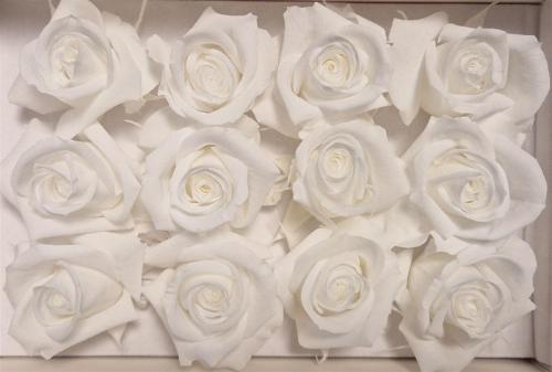 Rosa grootbloemig kleurbehandeld H%