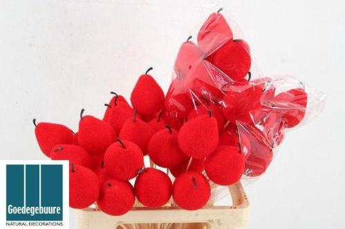 Huis en tuindecoratie overig H%