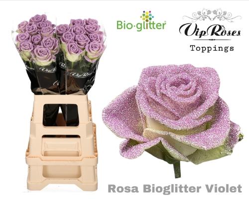 Rosa grootbloemig kleurbehandeld H%