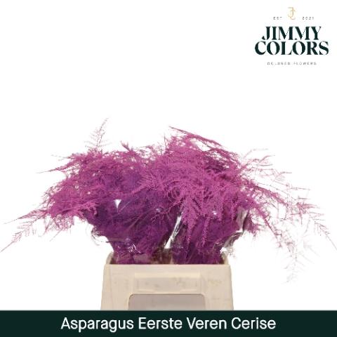 Asparagus overig kleurbehandeld H%