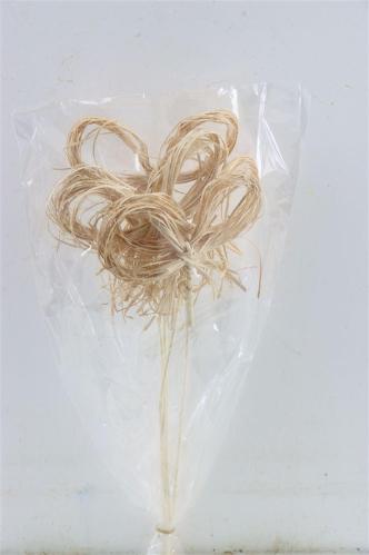 Huis en tuindecoratie overig H%