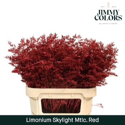 Limonium overig kleurbehandeld H%