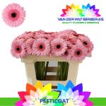 9888ad8d-b79b-4eb4-a7da-9bbaf616f06e.jpg