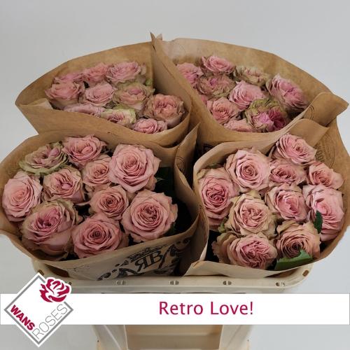 Rosa grootbloemig Retro Love!