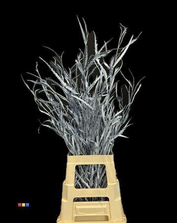 Decoratiegroen kleurbehandeld per bos H%