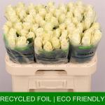 98b90358-efce-4868-8005-3b49f266df18.jpg
